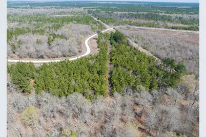 1 Bo Brown Road, Trinity, TX 75862 - Photo 3