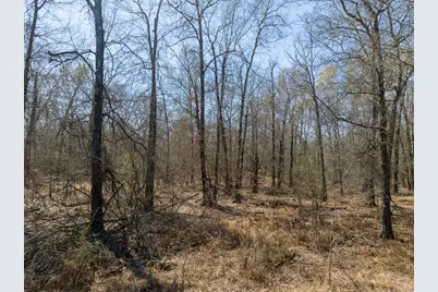 1 Bo Brown Road, Trinity, TX 75862 - Photo 15