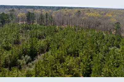 1 Bo Brown Road, Trinity, TX 75862 - Photo 7