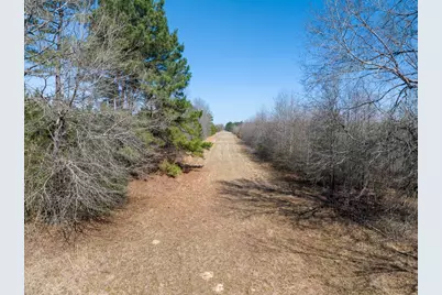 1 Bo Brown Road, Trinity, TX 75862 - Photo 11