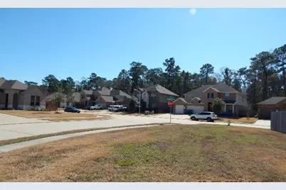 14209 Castolon Court, Conroe, TX 77384 - Photo 5