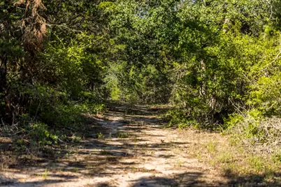 2062 N Fm 1291, Fayetteville, TX 78940 - Photo 45