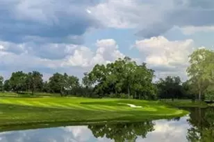 10029 Larkin Cv, Willis, TX 77318 - Photo 49