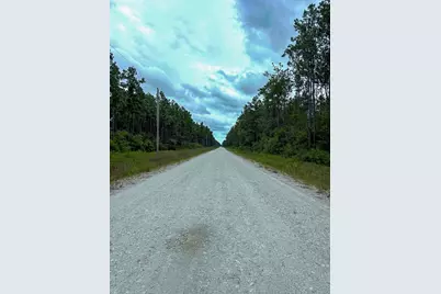 Tbd Carter Ranch Road, Kountze, TX 77625 - Photo 9