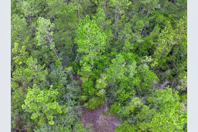 Tbd Carter Ranch Road, Kountze, TX 77625 - Photo 7