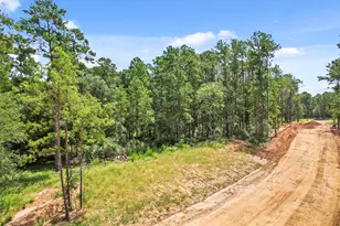 4029 Augusta Dr, Montgomery, TX 77316 - Photo 1