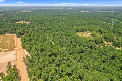 4029 Augusta Drive, Montgomery, TX 77316 - Photo 3