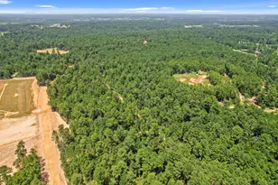 4029 Augusta Dr, Montgomery, TX 77316 - Photo 3