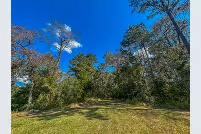 50 Neiderhoffer Subdivision Road, Huntsville, TX 77340 - Photo 9