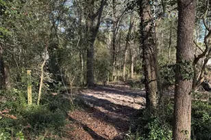 15693 Aspen Dr, Montgomery, TX 77356 - Photo 1