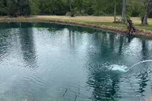 2744 County Rd 415C, Brazoria, TX 77422 - Photo 23