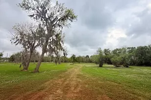 2744 County Rd 415C, Brazoria, TX 77422 - Photo 7