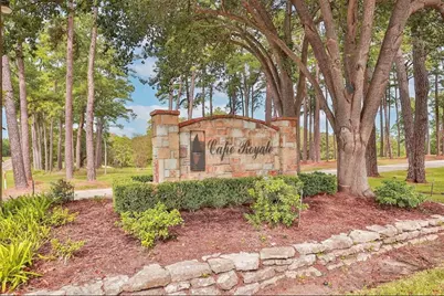 31 Green Tree Drive, Coldspring, TX 77331 - Photo 1