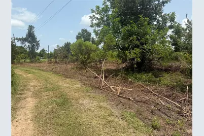 4337 County Road 659A, Brazoria, TX 77422 - Photo 9