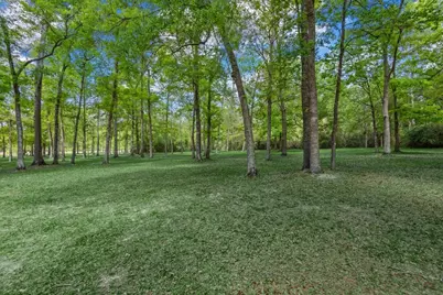 10267 Pineridge Drive, Conroe, TX 77303 - Photo 31