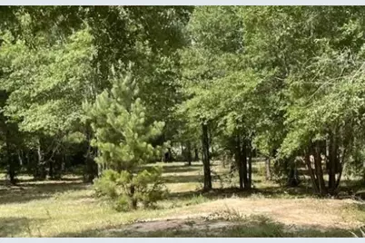 502 County Road 3408, Cleveland, TX 77327 - Photo 5