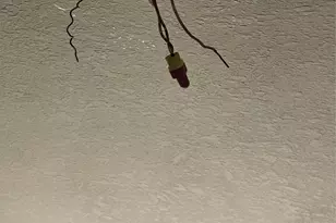 8303 Quest Ct, Rosharon, TX 77583 - Photo 41