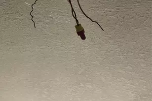 8303 Quest Ct, Rosharon, TX 77583 - Photo 41