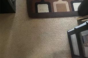 8303 Quest Ct, Rosharon, TX 77583 - Photo 19