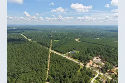 15631 Forest Grove Drive, Willis, TX 77378 - Photo 23