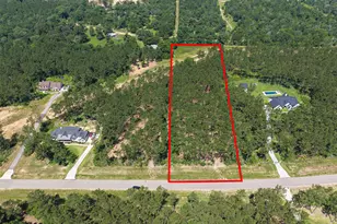 15631 Frst Grv Dr, Willis, TX 77378 - Photo 1