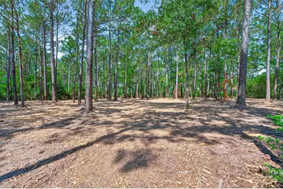 15631 Forest Grove Drive, Willis, TX 77378 - Photo 3