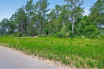 15631 Forest Grove Drive, Willis, TX 77378 - Photo 5