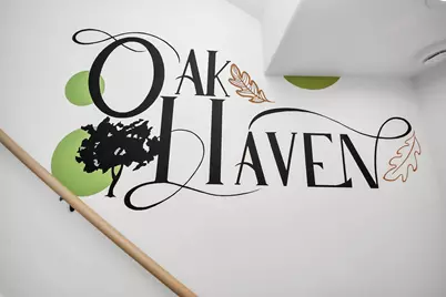 2524 Live Oak Street, Houston, TX 77004 - Photo 13