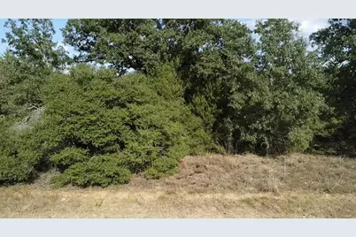 Tbd Pin Oak, Hilltop Lakes, TX 77871 - Photo 3