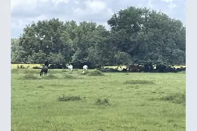 0 Cr-392, Alvin, TX 77511 - Photo 7