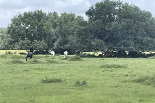 0 Cr-392, Alvin, TX 77511 - Photo 7