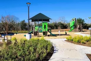 3303 Comice Ln, Pearland, TX 77581 - Photo 17