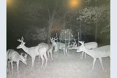 64 Gourd Creek Cemetary Road, Huntsville, TX 77340 - Photo 31