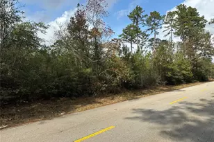 19234 Fm 2090 Rd, Conroe, TX 77358 - Photo 5