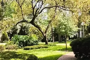 2100 Tanglewilde St, Houston, TX 77063 - Photo 25