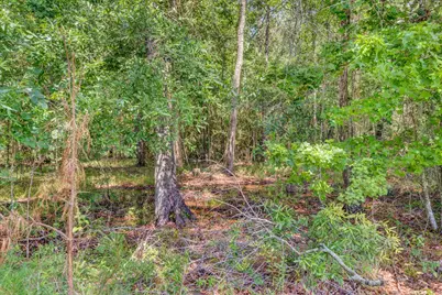 1414 County Road 632, Dayton, TX 77535 - Photo 9