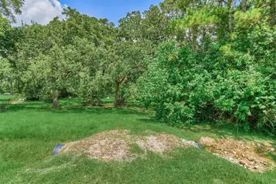 32214 Mink Creek Court, Magnolia, TX 77355 - Photo 3