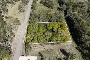 0 Patricia Cr 377 Ln, Alvin, TX 77511 - Photo 1