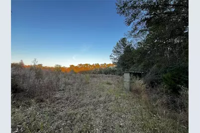 231 County Road 2190, Cleveland, TX 77327 - Photo 13