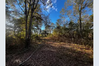 231 County Road 2190, Cleveland, TX 77327 - Photo 21