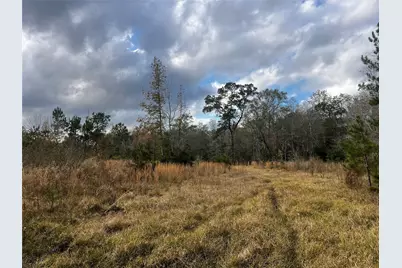 231 County Road 2190, Cleveland, TX 77327 - Photo 19