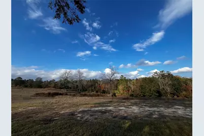 231 County Road 2190, Cleveland, TX 77327 - Photo 29