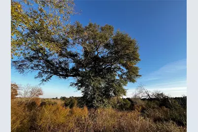 231 County Road 2190, Cleveland, TX 77327 - Photo 11