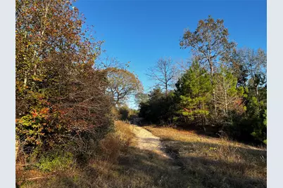 231 County Road 2190, Cleveland, TX 77327 - Photo 5