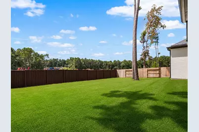 29818 Amber Brook Drive, Magnolia, TX 77354 - Photo 49