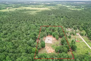 000 Wendy Way, Livingston, TX 77351 - Photo 1