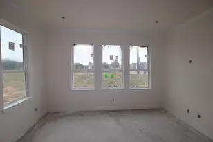 11407 Lucky Fls Dr, Houston, TX 77047 - Photo 3