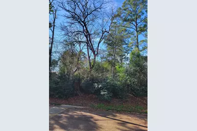 Lot 13-12149 Goliad, Willis, TX 77378 - Photo 3