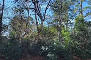 Lot 13-12149 Goliad, Willis, TX 77378 - Photo 3