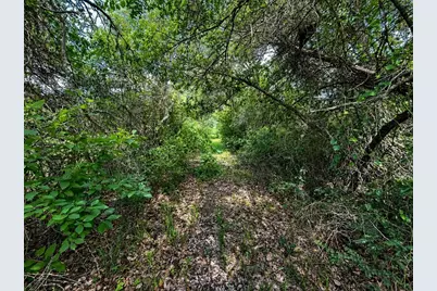 Tbd Water Oak Road, Columbus, TX 78934 - Photo 9